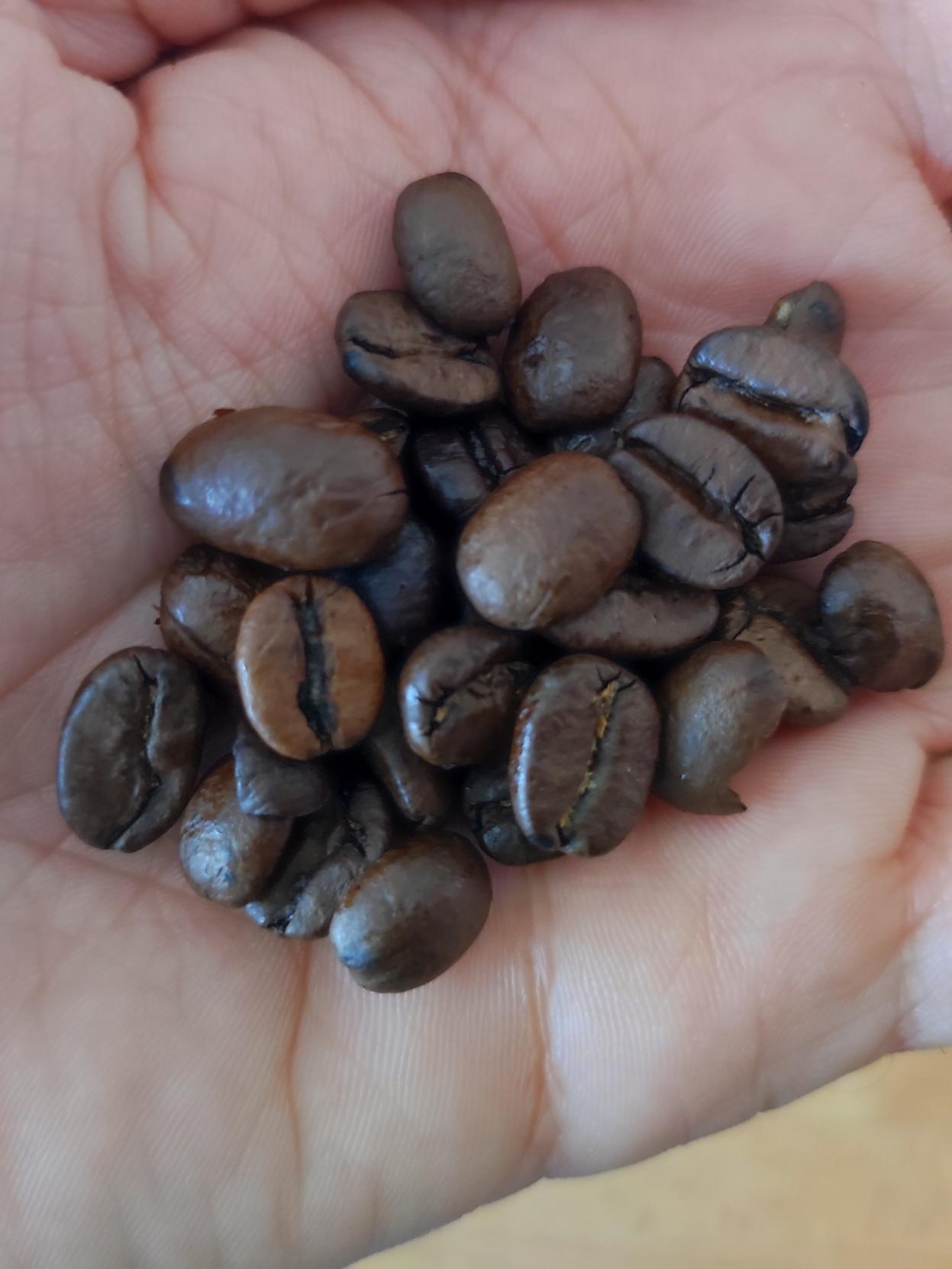 A solo un día de vacaciones y te explico cómo hacer un buen café